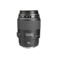 canon 100mm 2.8 macro