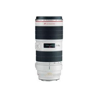 canon 70-200 2.8L